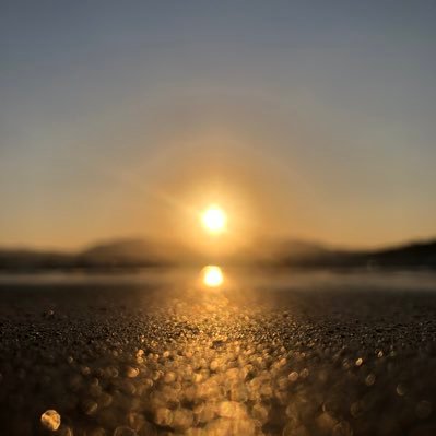 Wato_1011's profile picture. 田舎っぺ、バレーボール結構好き