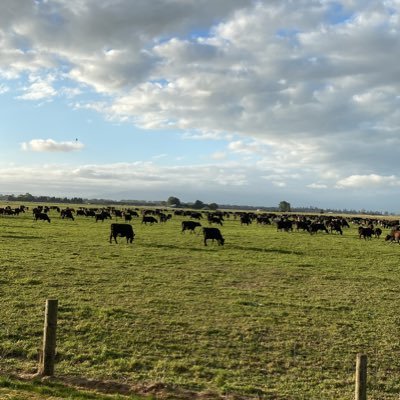 Managing dairy Farm NZ  Future Goals Contract milking/Share milking