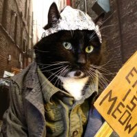 CATholic DOGma Rescue & Retvrn (@nycyvonne1) 's Twitter Profile