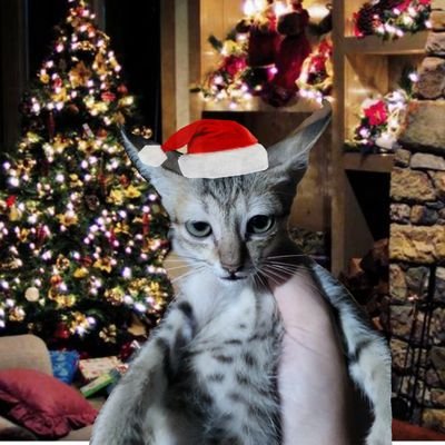 toi_la_sanddyii's profile picture. 20,🎨👩‍🎨
bluh bluh