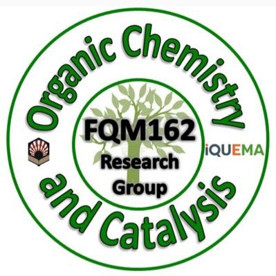 Grupo de investigación FQM-162 del Departamento de Química Orgánica de la Universidad de Córdoba, especializado en catálisis heterogenea