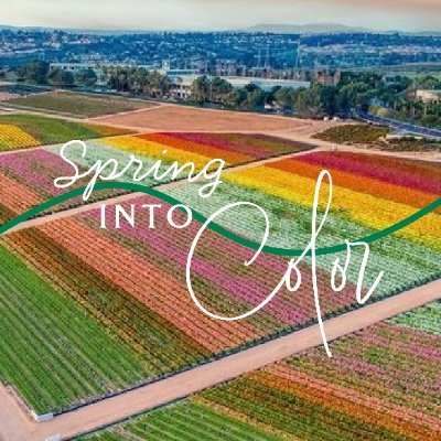 With more than 55 acres of flowers from ranunculus to roses, The Flower Fields at Carlsbad Ranch® is one of the most beloved spring traditions in So Cal.