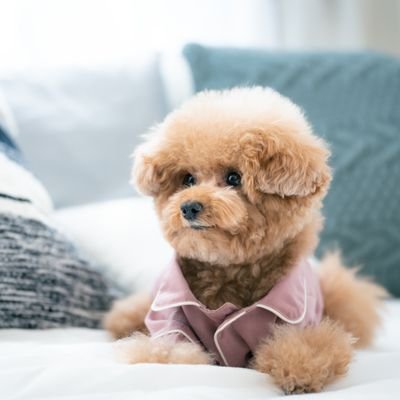 design_zukai's profile picture. 副業でwebデザインやってます!初心者ですがよろしくお願いします!