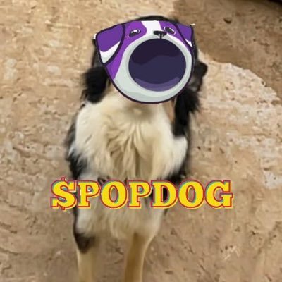 Crypto enthusiast, Nexus ecosystem member, Bonk2 og and $Popdog holder