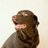 Dog_Lab's profile image