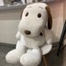 . (@snoopy_marumo) Twitter profile photo . (@snoopy_marumo) Twitter profile photo