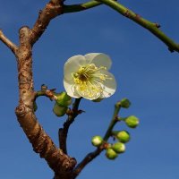 칼라마경 (@z0dd8) 's Twitter Profile Photo