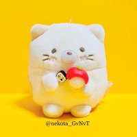 ねこた🐟🐱🍙 (@nekota_gvnvt) 's Twitter Profile Photo ねこた🐟🐱🍙 (@nekota_gvnvt) 's Twitter Profile Photo