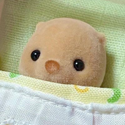 大(*´꒳`*)豆さんのプロフィール画像