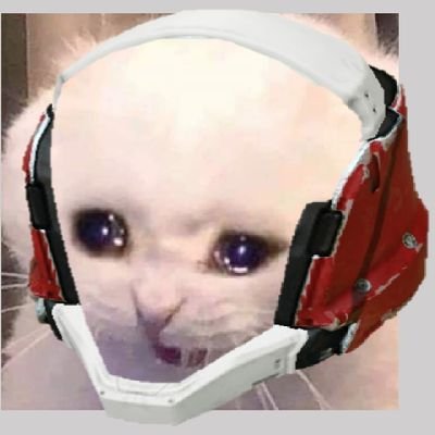 Bruin42869606's profile picture. 귀여운거랑 멋있는게 좋아요.
귀엽고 멋있는 호시노는 더 좋아요.
서브 컬쳐 게임도 하고 로봇 수집해요.