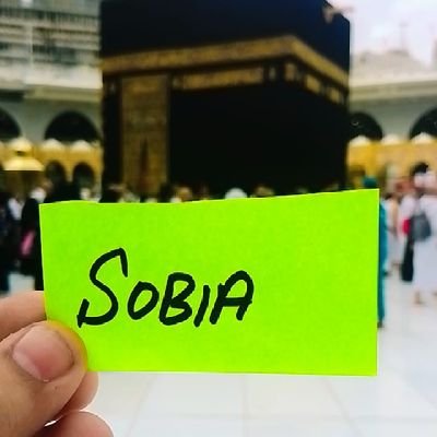 BiaShah212531's profile picture. 