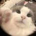 bsjdaam (@mnamna14486461) Twitter profile photo bsjdaam (@mnamna14486461) Twitter profile photo