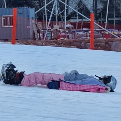 daysofhelia's profile picture. 얼음물과코타츠