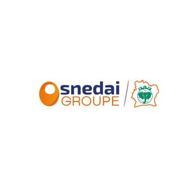 Le Groupe SNEDAI est un groupe ivoirien multi services qui exerce dans 4 secteurs clés de l'économie Ivoirienne : les nouvelles technologies, BTP & Immobilier.