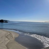 あいこ (@maemukimaemuk) 's Twitter Profile