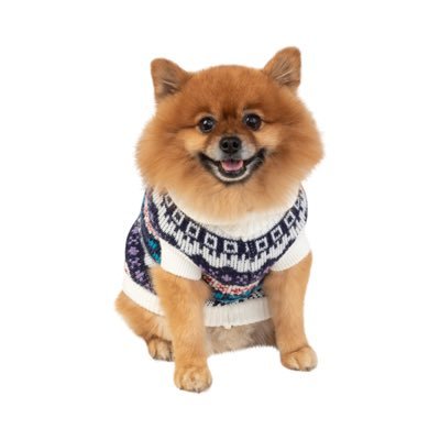 songgonggon's profile picture. 歯科衛生士🦷懸賞