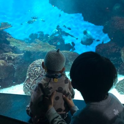 nelly30190288's profile picture. 𖤣𖥧𖥣𖡡𖥧𖤣 👶3歳👦12歳 #歳の差兄弟のママ です。 スイーツ🍰インテリア❤️家電📺掃除道具🧹旅行✈️⭐︎美容💄 敬語ポイで絡んでね✨LDK信者🧸楽しくTwitterをモットーに🌸スプラトゥーンハマり中です🎮 #ちびちびの当選報告 #ちびちびコスメラブ ❤️#男の子あるある