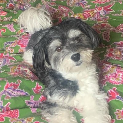 bcipria's profile picture. 