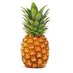 pineapple (@pineapple121101) Twitter profile photo pineapple (@pineapple121101) Twitter profile photo