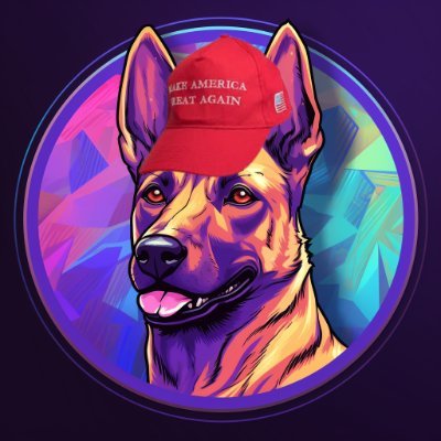 Welcome to Conan on Solana $CONAN The dog honored by Donald Trump. 🐶
Contract: 7XU84evF7TH4suTuL8pCXxA6V2jrE8jKA6qsbUpQyfCY