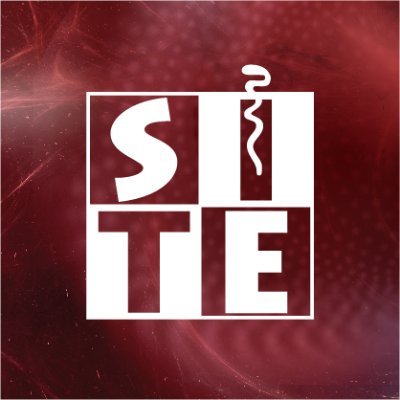 For 25 years and counting, the International Symposium on Endovascular Therapeutics (SITE) has been a meeting place for experts, now and in the future, to discu