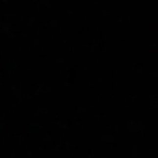 notrandom24's profile picture. 