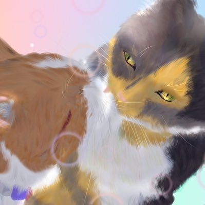 Chie19741's profile picture. YouTuberヒカル君推し🥰フォロバ率はほぼ0%です🙇‍♀️