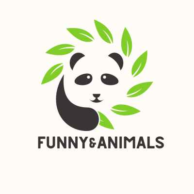 funnyanimals360 Profile Picture