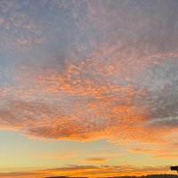 sc. (@tansiyonsekiz) Twitter profile photo