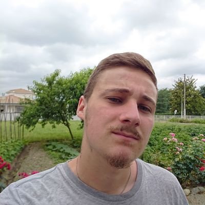 Alexismultifon1's profile picture. Alexis