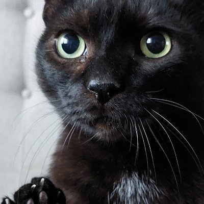 devkaap's profile picture. 