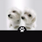 ryu2no's profile image