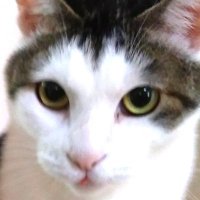 うじてる H (@a335hjk) 's Twitter Profile Photo うじてる H (@a335hjk) 's Twitter Profile Photo
