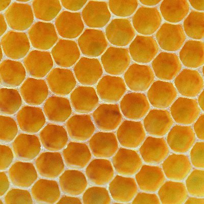 marcojbrew54139's profile picture. 