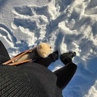 duxiao241321's profile picture. Life is the process of learning