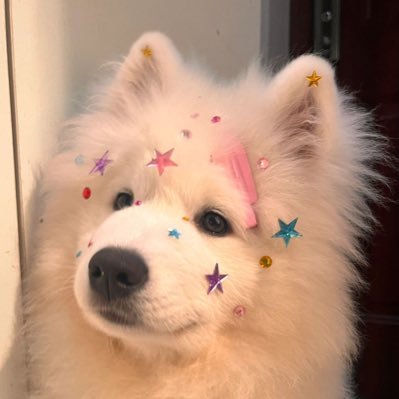 TheSparklingB's profile picture. 陳香美