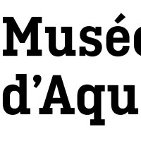 MuseeAquitaine (@museeaquitaine) 's Twitter Profile Photo MuseeAquitaine (@museeaquitaine) 's Twitter Profile Photo