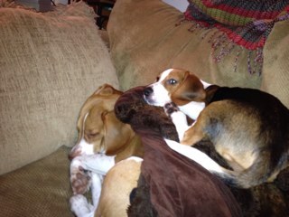 chuckeller6's profile picture. 