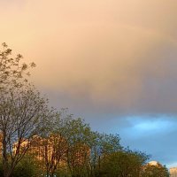 赤峰夫妻 (@wngshxn26028924) 's Twitter Profile