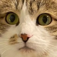 simba (@simbikbne) 's Twitter Profile