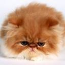 Leah Bruno - @LeahBruno1123 - Twitter