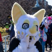 Artie 🦇 (@clovercrash) 's Twitter Profile