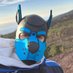 pup_sprite (@pup_sprite) Twitter profile photo pup_sprite (@pup_sprite) Twitter profile photo