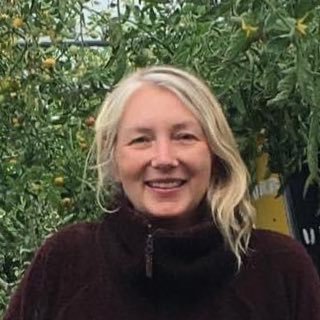 Mandy Barber grows and researches perennial vegetables. Buy perennial vegetable plants and seeds in my web shop #permaculture #perennialvegetables #edimentals