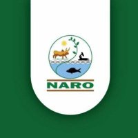 NARO-NaLIRRI (@nalirri) 's Twitter Profile Photo NARO-NaLIRRI (@nalirri) 's Twitter Profile Photo
