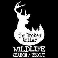 the Broken Antler WLSR(@BrokenAntlerRes) 's Twitter Profileg