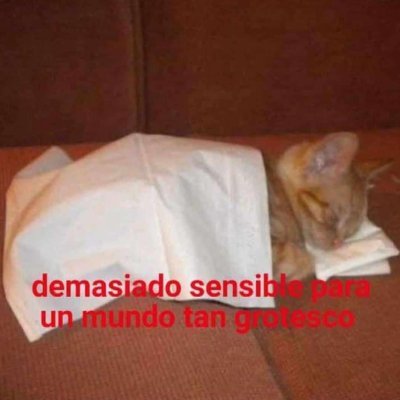 Alanis_elAno's profile picture. si