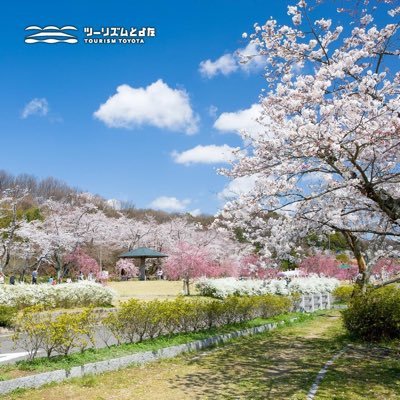 Haipham68368's profile picture. Đến từ Hải Phòng