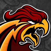 Broken Phoenix (@brokenphoenixcs) 's Twitter Profile