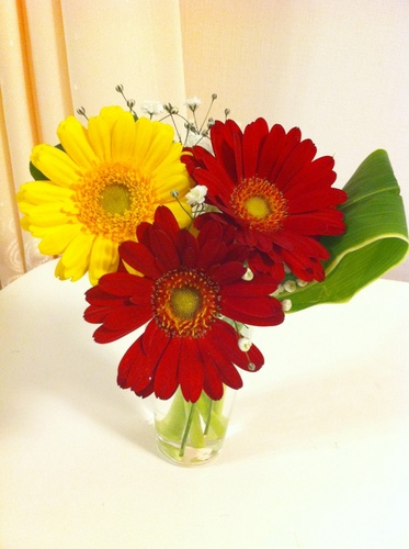 aiaiaoao's profile picture. 趣味が多いといわれるいつも前向き女子です（^^）
教育/料理/ピアノ/ヴァイオリン/書道/水泳/ゴルフ/茶道/生花/着物/Anecan/